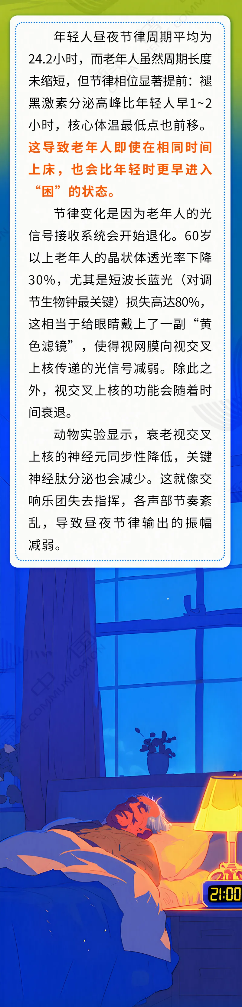 3.webp