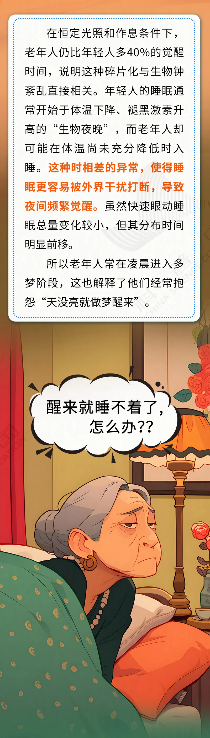 5.webp