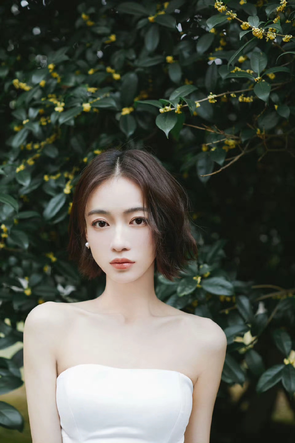 e34633bf59254a74888a58876ea7662c~tplv-tt-origin-web_gif.jpg