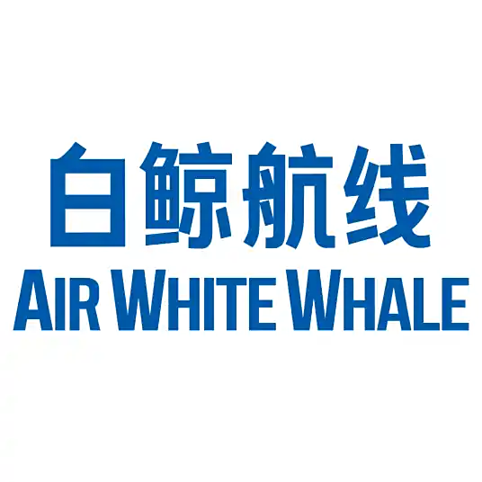 白鲸航线网站截图
