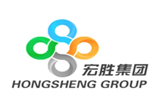 宏胜集团网站截图