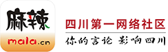麻辣社区网站截图