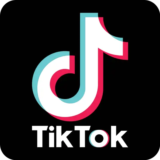 TikTok网站截图